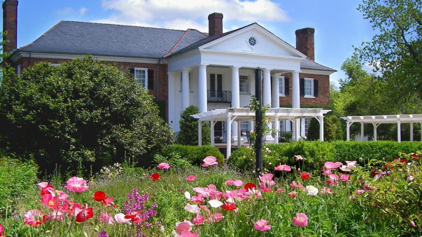 a close up of a flower garden in front of a house