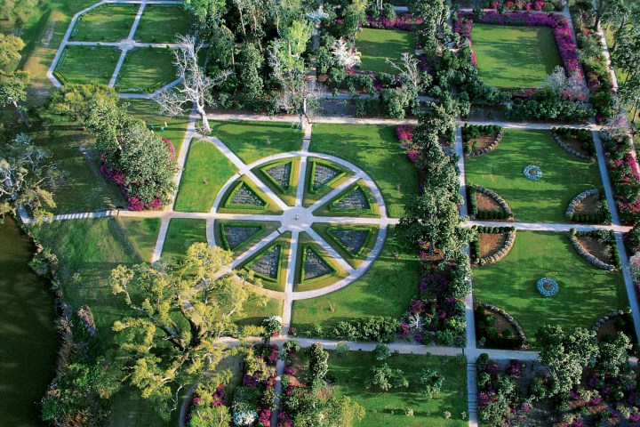 a close up of a garden